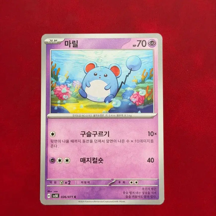 [BUNJANG] Pokemon Card Marill SV5K / 귀여운 포켓몬 카드 마릴 sv5k
