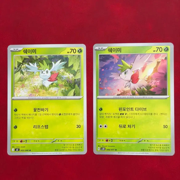 [BUNJANG] Pokemon Card Shaymin 2-Card Set / 귀여운 포켓몬 카드 쉐이미 2장 세트