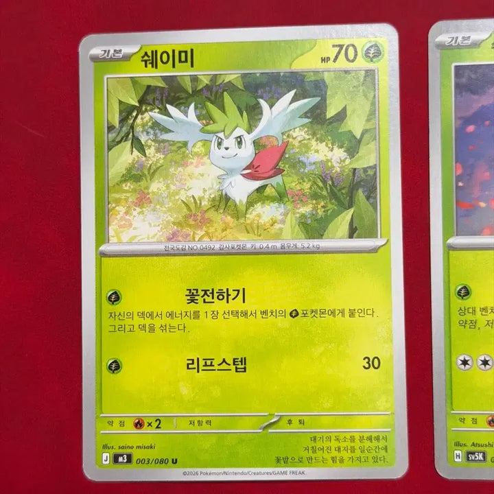 [BUNJANG] Pokemon Card Shaymin 2-Card Set / 귀여운 포켓몬 카드 쉐이미 2장 세트