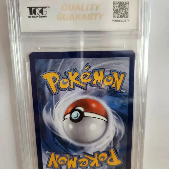 [BUNJANG] Pokemon Card Pikachu Special Edition / 심쿵피카츄 영문판TQG 9.5 포켓몬카드