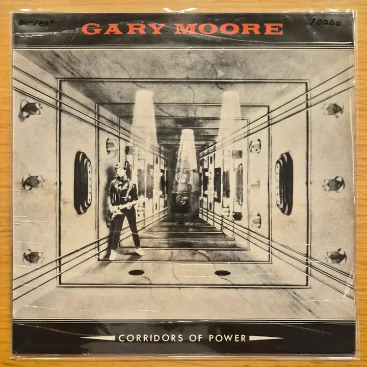 [BUNJANG] Gary Moore LP / Gary moore lp
