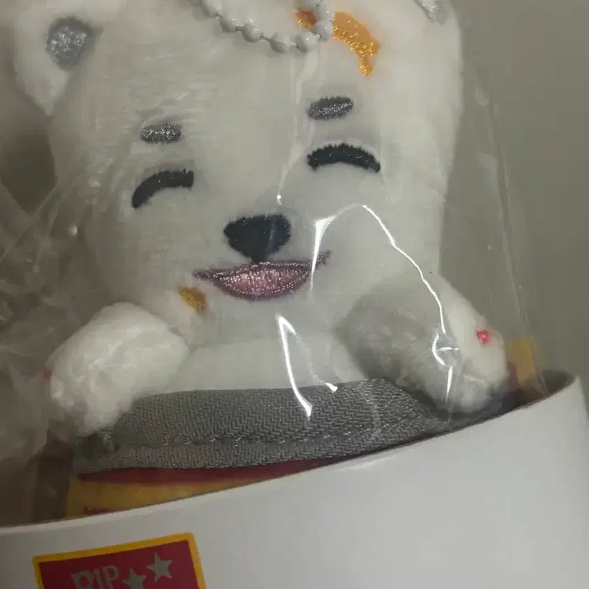 [BUNJANG] NEXZ Haru Bear Plush Doll / 넥스지 하루 인형 양도