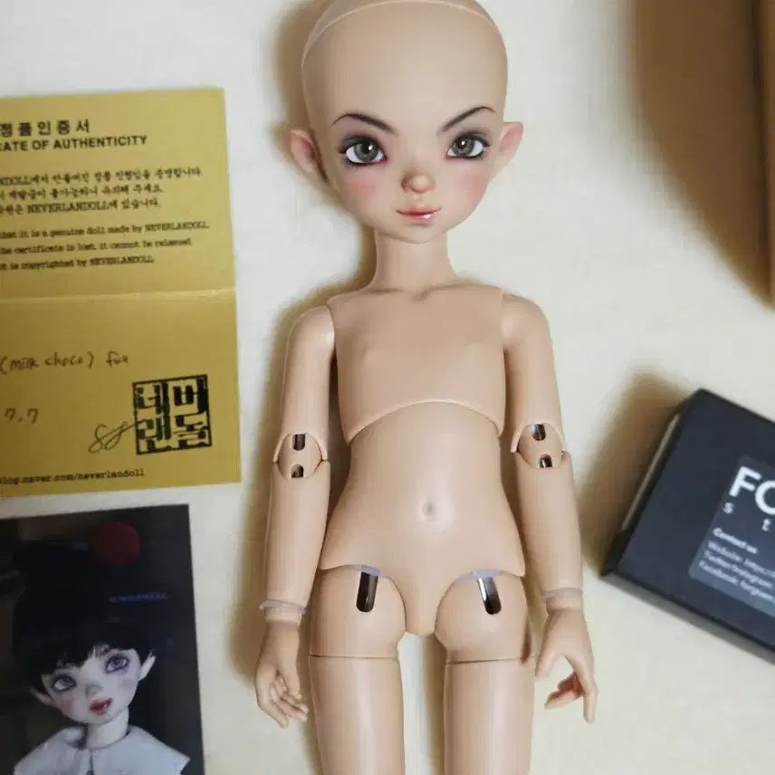 [BUNJANG] Neverland Doll Debbie Milk Choco USD Ball-Jointed Doll / 네버랜돌 애기악마 데비 밀크초코 usd 본체 구체관절인형