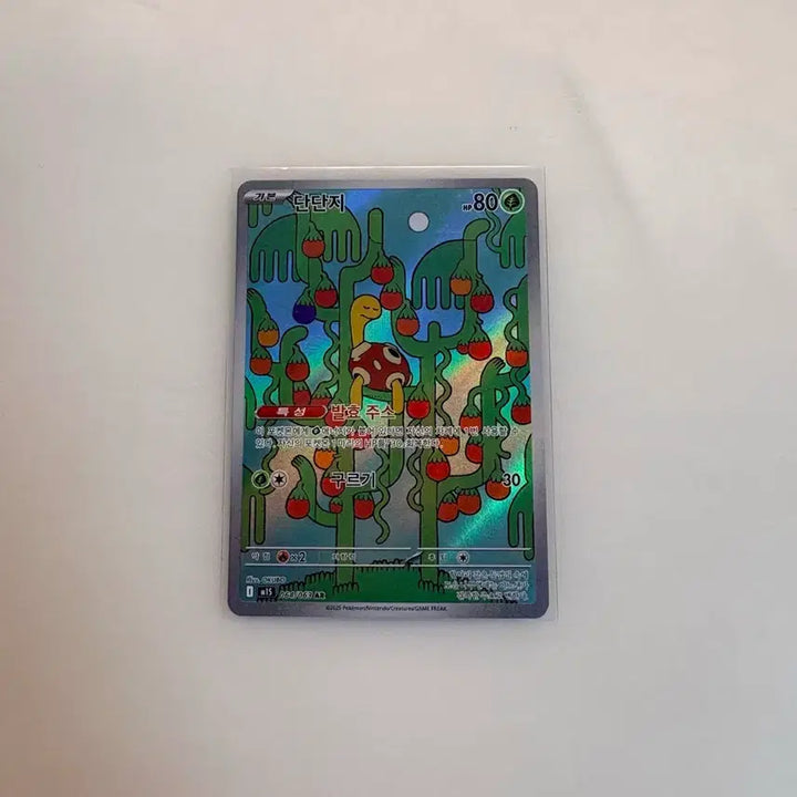 [BUNJANG] Pokemon Card Tandem AR / 포켓몬카느 단단지 AR (재고 3장)