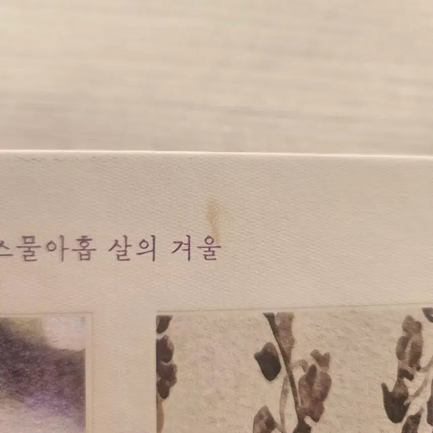 [BUNJANG] IU Documentary Album / 3일 안 구매시 -2000)아이유 다큐멘터리
