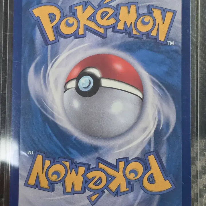 [BUNJANG] Pokemon Card Brendan&