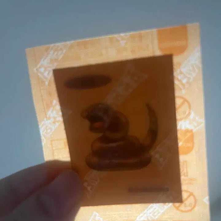 [BUNJANG] Pokemon 30th Anniversary Coin Charms - Rare Selection / 포켓몬 30주년 샤미드 냐오불 독침붕 코뿌리 아보