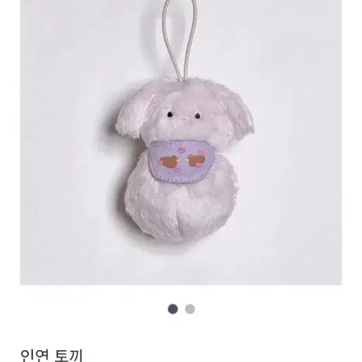 [BUNJANG] Don Donz Clover Dog &amp; Fate Rabbit Bundle Set / 돈돈즈