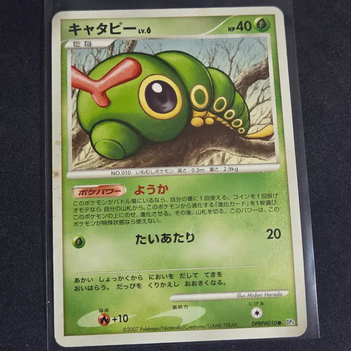 [BUNJANG] Pokemon Card DP Caterpie (Japanese) / [포켓몬 카드] 일판 dp 캐터피