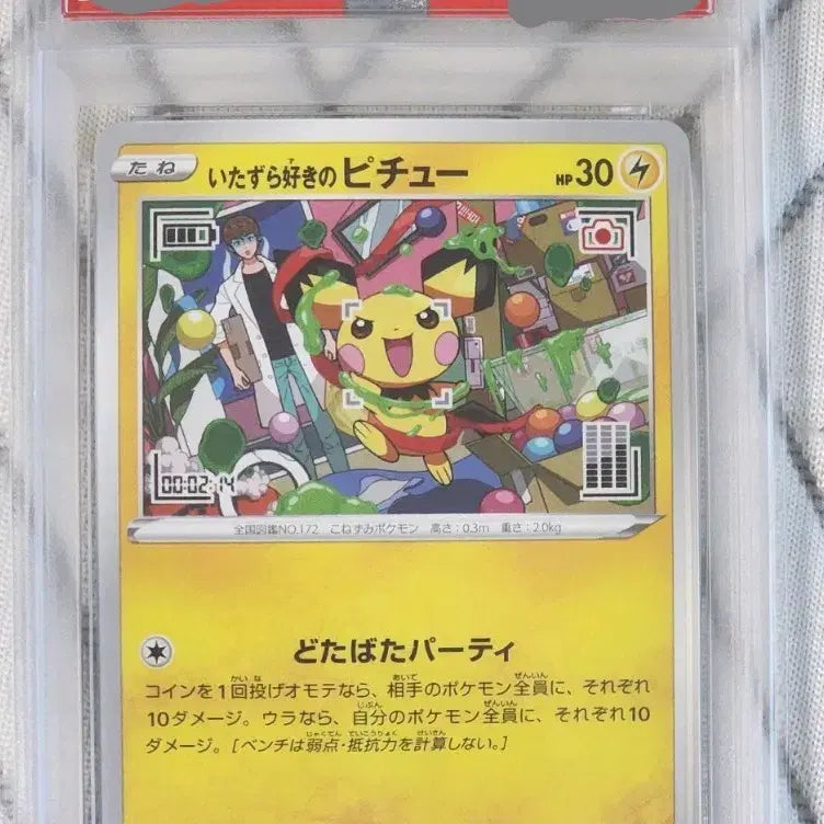 [BUNJANG] Pichu (Japanese) PSA 10 / 장난꾸러기 피츄 일판 psa10