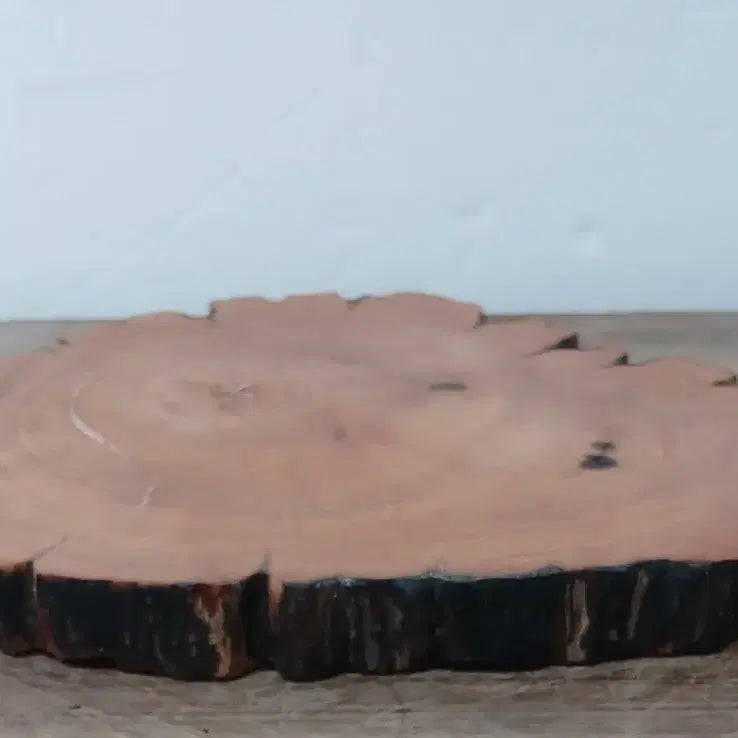 [BUNJANG] Premium Korean Birch Fingerboard / 수석 자연수석 박달나무지판