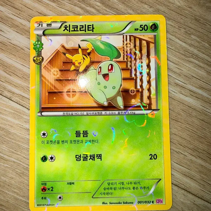 [BUNJANG] Chikorita Pocket Card / 포켓심쿵카드 치코리타