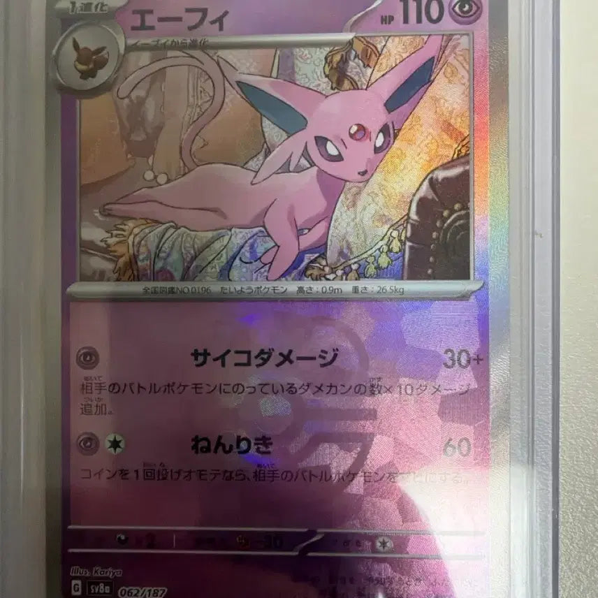 [BUNJANG] Eevee Master Ball Japanese Edition / 에브이 마스터볼 일판