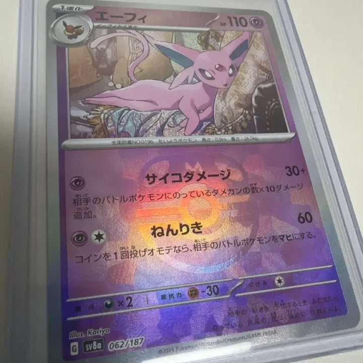 [BUNJANG] Eevee Master Ball Japanese Edition / 에브이 마스터볼 일판