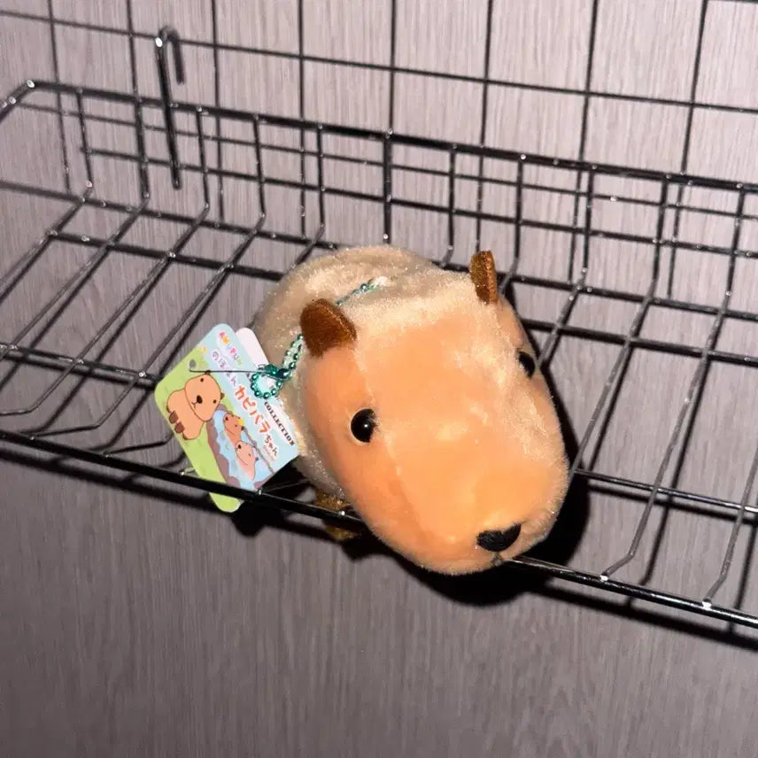 [BUNJANG] Amuse Nohohom Capybara-chan Plush Keychain / 어뮤즈 노호혼 카피바라짱 카피바라 인형 키링