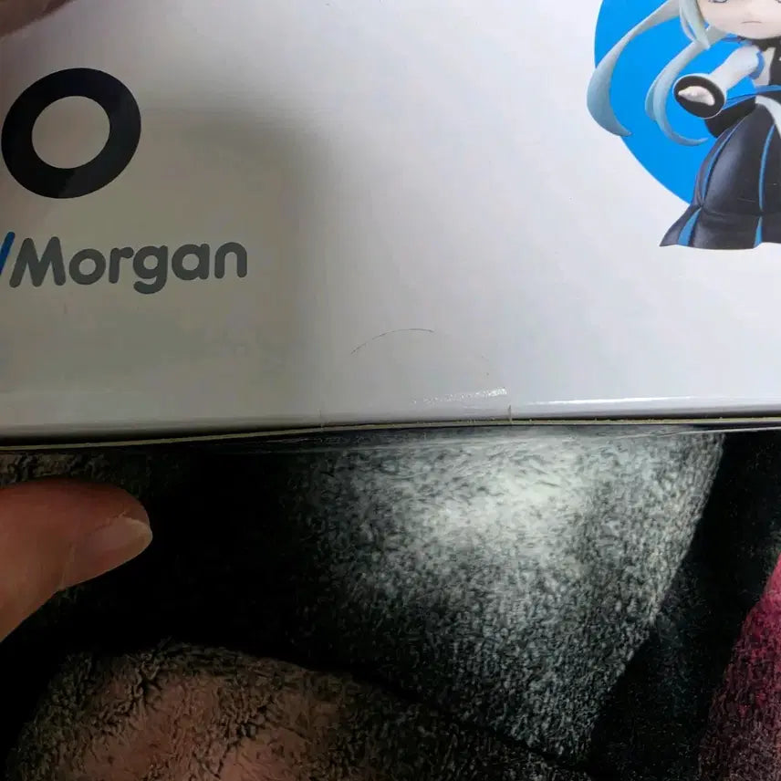 [BUNJANG] Berserker Morgan Nendoroid / 버서커 모르간 넨도로이드 판매합니다.