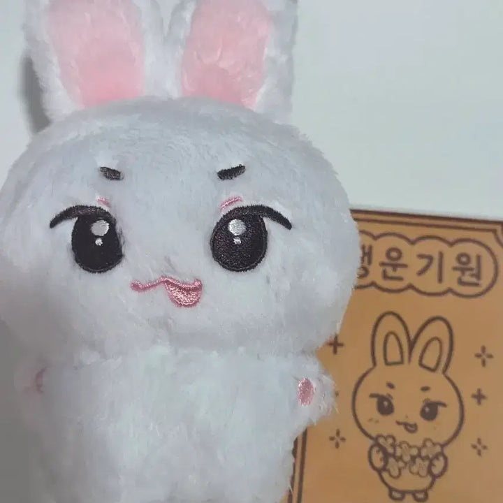 [BUNJANG] Choi Ripwoo Doll &