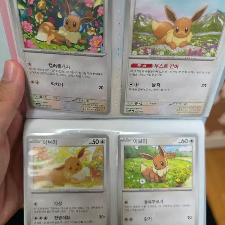 [BUNJANG] Eevee &amp; Jigglypuff Pokemon Card Collection / 포켓몬카드 이브이&amp;푸린 모음