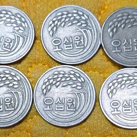 [BUNJANG] 1981 South Korean 50 Won Coin Bundle (10 Coins) / <특년> 발행량이 적어 희소한 1981년 50원 동전 10개 묶음