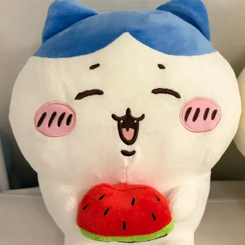 [BUNJANG] Hachiwara Watermelon Plush Doll (Approx. 27cm) / 수박먹는 하치와레 인형