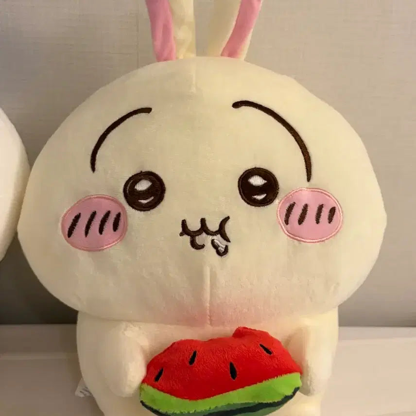 [BUNJANG] Watermelon Eating Usagi Plush Toy (approx. 27cm) / 수박먹는 우사기 인형