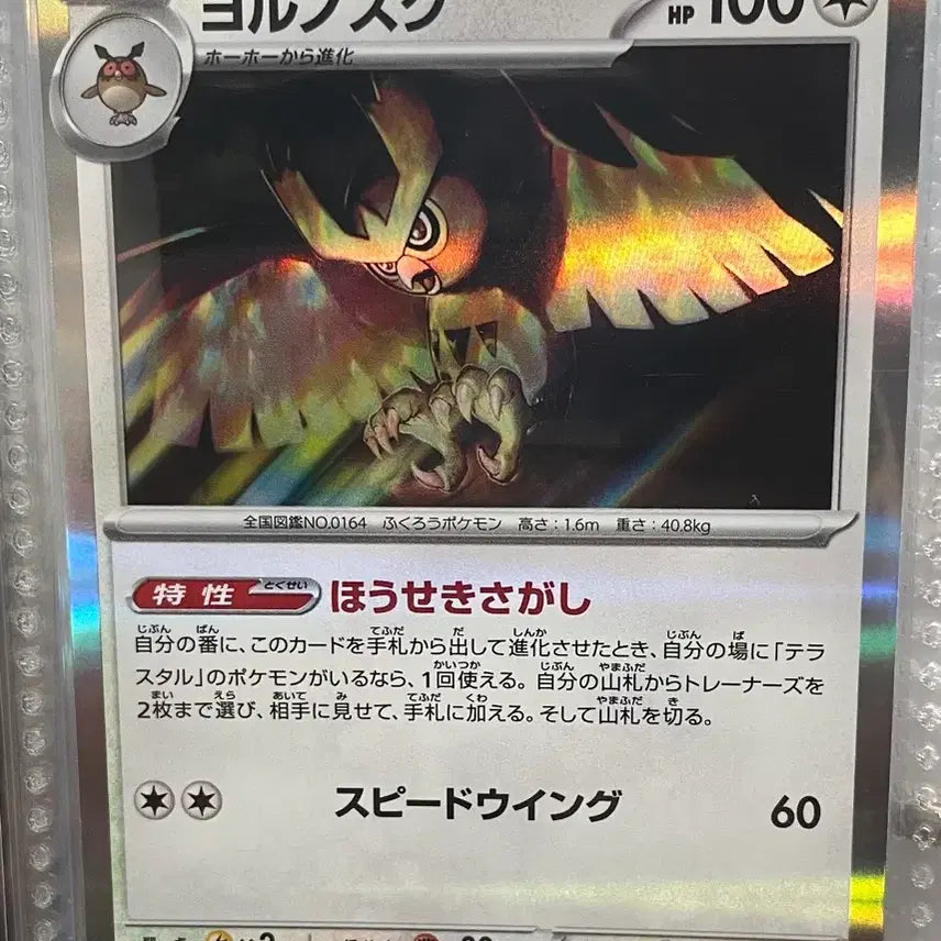 [BUNJANG] Pokemon Card Noctowl Holo (Japanese) / 야부엉 홀로 (일판) 포켓몬카드