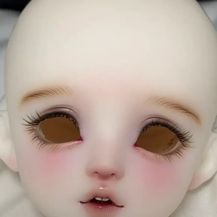 [BUNJANG] Aedoll MSD Sintai White Head Ball-Jointed Doll / aedoll msd 싱따이 미백헤드 구체관절인형