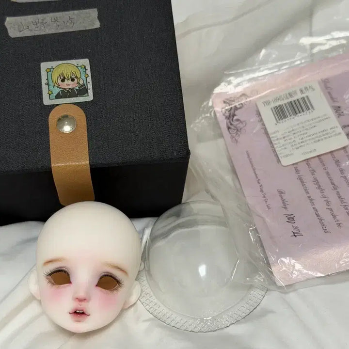 [BUNJANG] Aedoll MSD Sintai White Head Ball-Jointed Doll / aedoll msd 싱따이 미백헤드 구체관절인형
