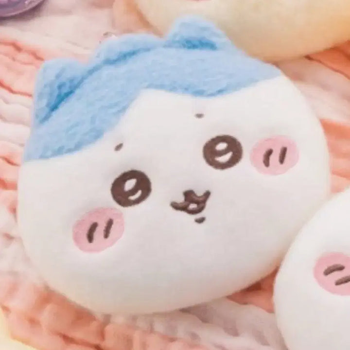 [BUNJANG] Chiikawa Baby Pass Holder Hachiware (Sealed) / [현물 바로배송]치이카와 베이비 릴패스 하치와레