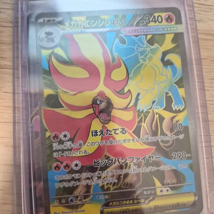 [BUNJANG] Pokemon Card Mega Buncho EX SR Mint Japanese / 포켓몬 카드 메가번치 ex SR MINT 일판