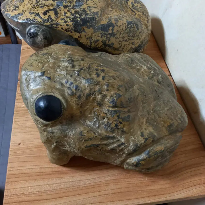 [BUNJANG] Stromatolite Fossil Toad / 스트로마톨라이트 화석 두꺼비