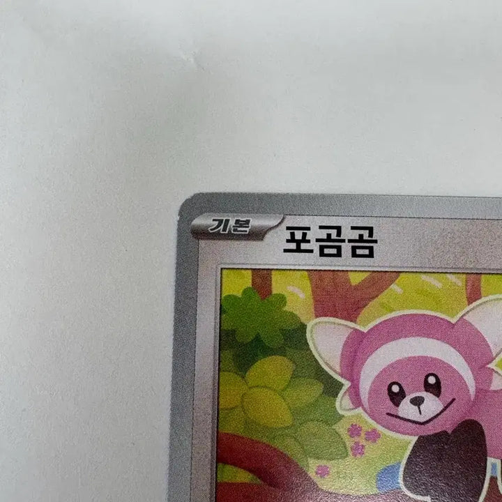 [BUNJANG] Pokemon Card Teddiursa C (Korean Edition) / 포켓몬카드 포곰곰 C (한글판)