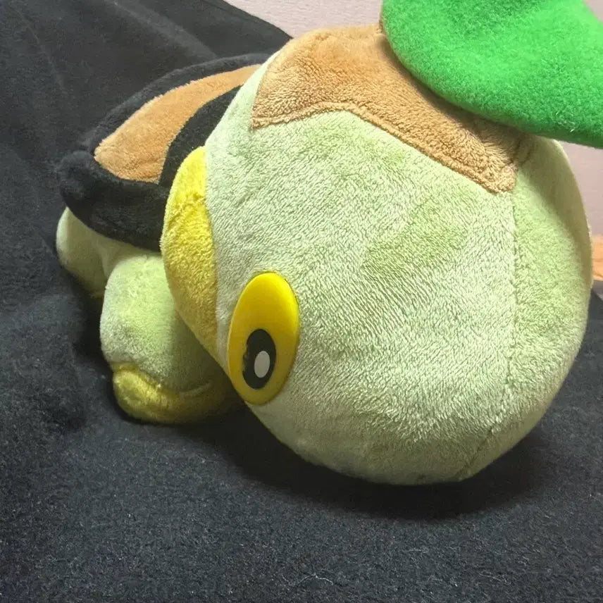 [BUNJANG] Pokemon Torkoal Plush Toy / 포켓몬 모부기 봉재인형