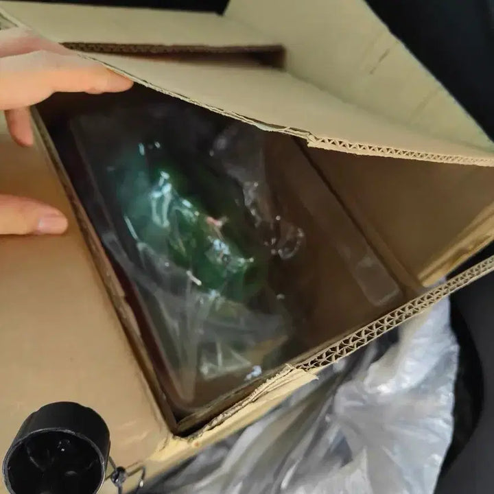 [BUNJANG] Dragon Ball Porunga Figure / 내수카톤)드래곤볼 제일복권 포룽가 피규어