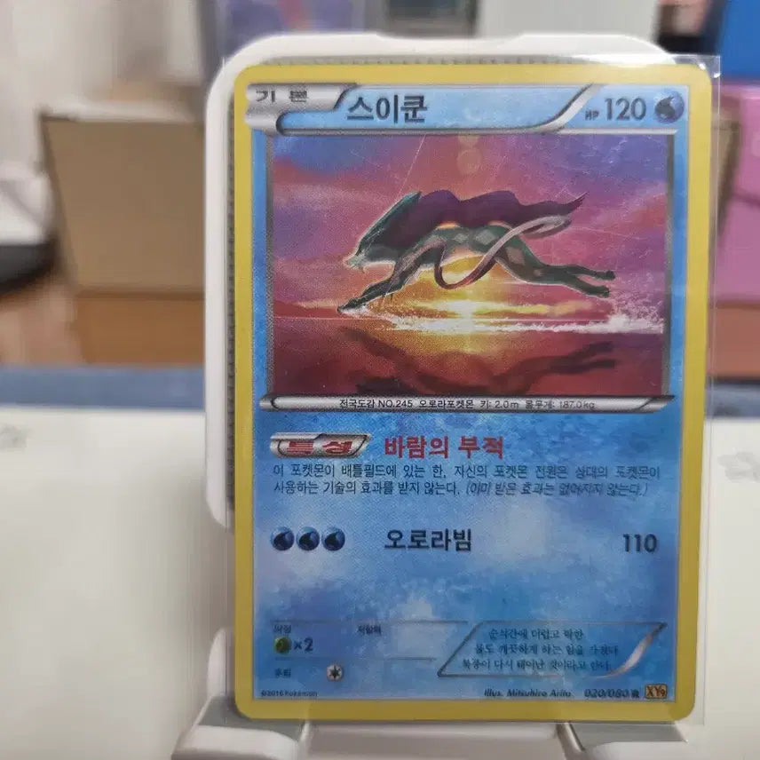 [BUNJANG] Suicune XY Holo Card / 스이쿤 XY 홀로 카드