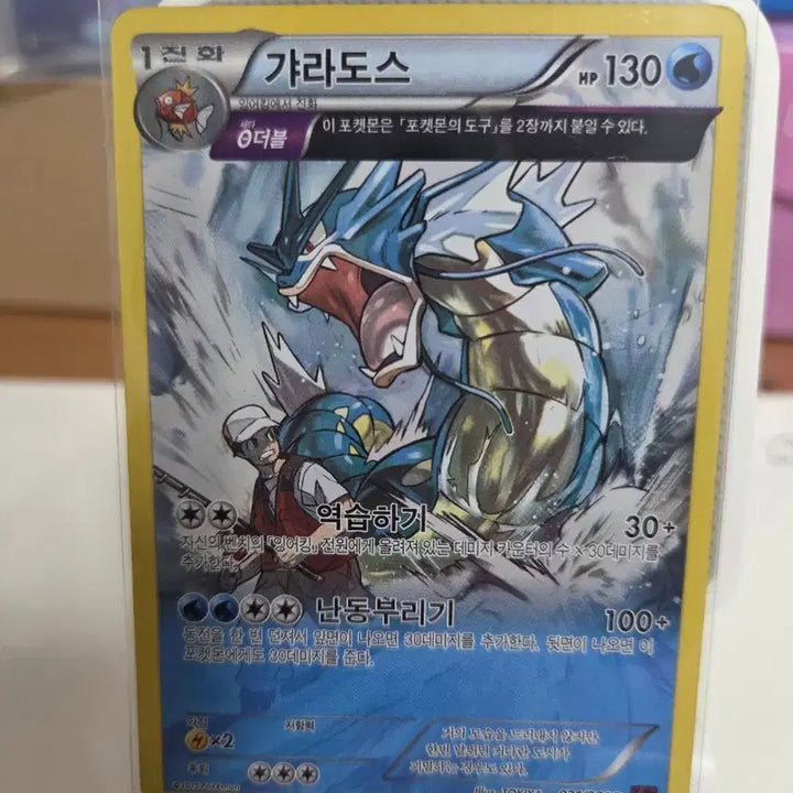 [BUNJANG] Gyarados XY Holo Card / 갸라도스 XY 홀로 카드
