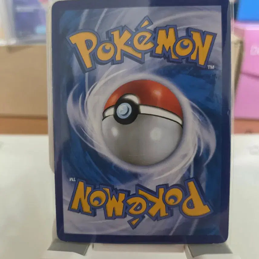[BUNJANG] Gyarados XY Holo Card / 갸라도스 XY 홀로 카드