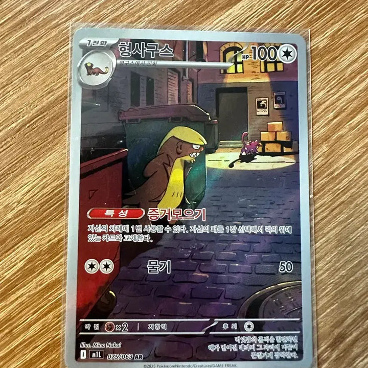 [BUNJANG] Pokemon Card Detective Goose AR / 포켓몬카드 형사구스 ar