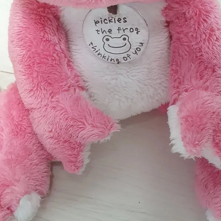 [BUNJANG] Pickles the Frog Plush Doll / 피클스 더 프로그 개구리 인형