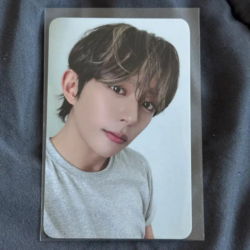 [BUNJANG] Darkbee Dwone Everline Lucky Box POB Photocard / 다크비 디원 에버라인 LUCKY BOX 미공포 특전 포카