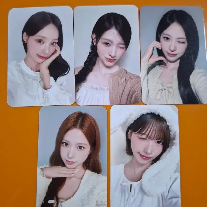 [BUNJANG] RE SENE x Holly&