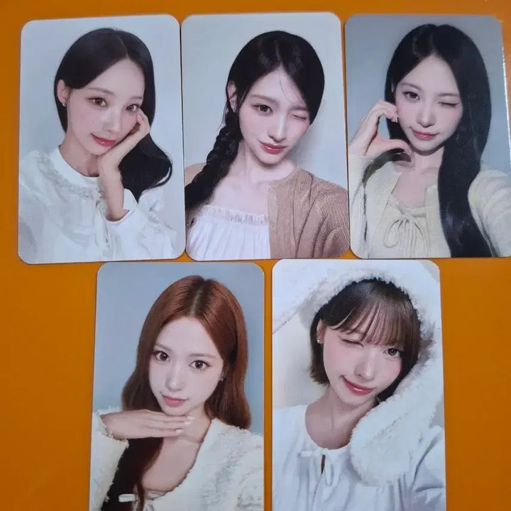[BUNJANG] RE SENE x Holly&