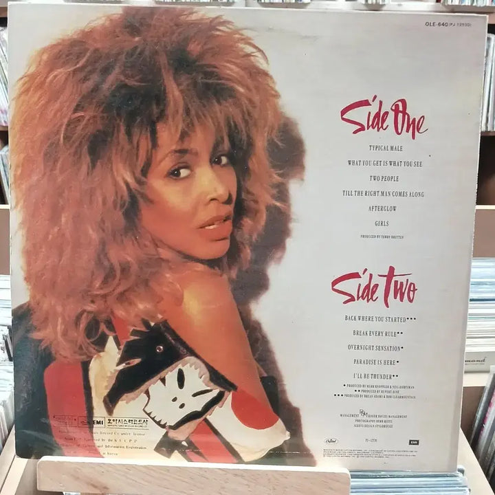 [BUNJANG] Tina Turner Break Every Rule LP / 소울 디스코 티나 터너 Break Every Rule LP 할인