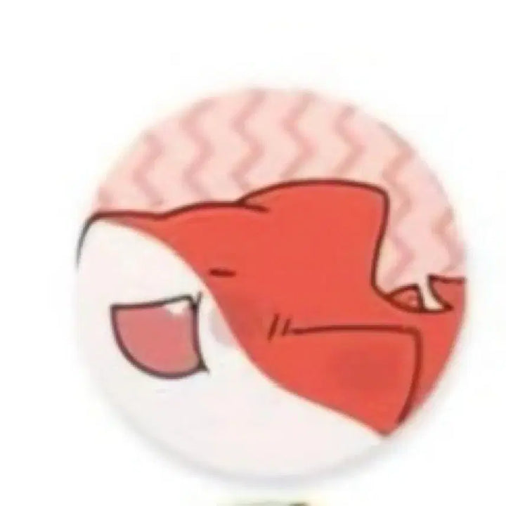 [BUNJANG] Rapper Rapper Can Badge / 라더 캔뱃지