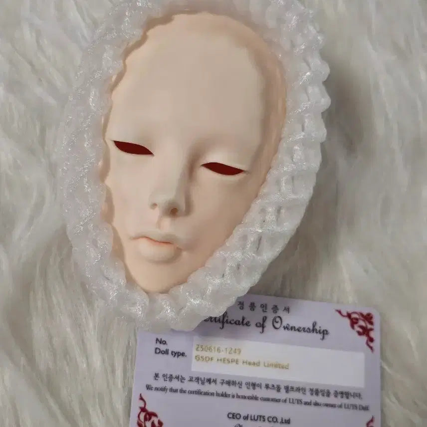 [BUNJANG] Luts Hesper Normal Head Ball-Jointed Doll / 구체관절인형 루츠 헤스페 노멀헤드