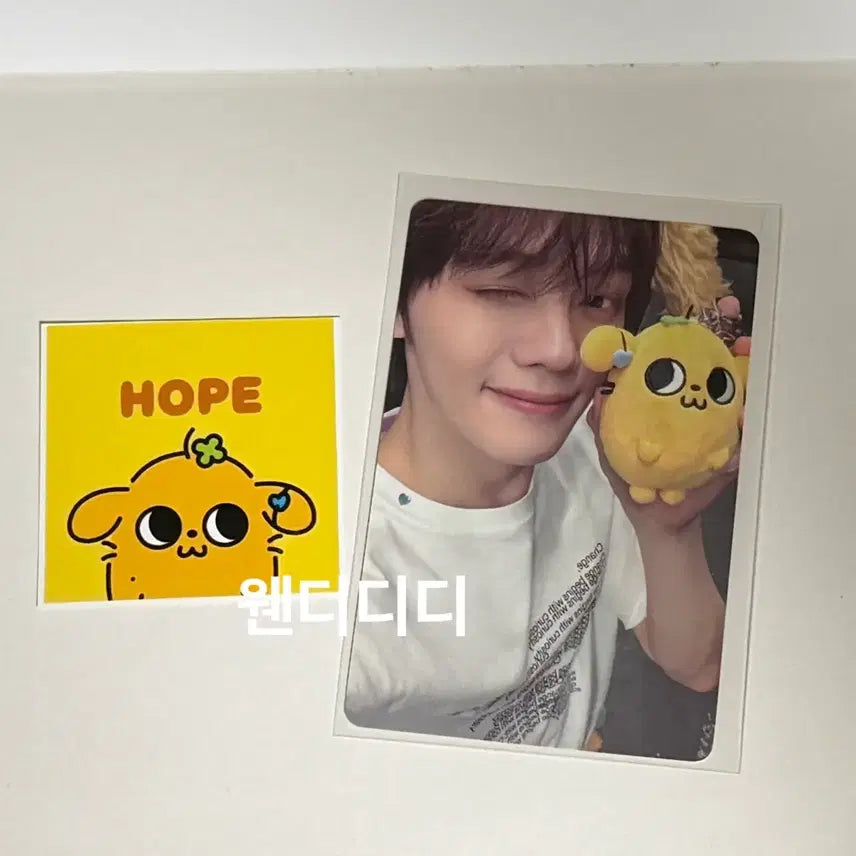[BUNJANG] ANDBb ANDVerse Popup Bundle Set Gyuvin Photocard / 일괄)앤더블 앤버스 팝업 규빈 5만원 포카 김규빈 망댕이 미션 스티커