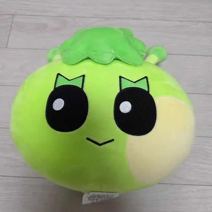 [BUNJANG] BOYNEXTDOOR Leehan Cushion / (급처)보넥도 이한 쿠션