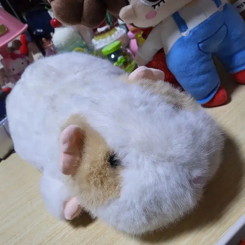 [BUNJANG] Set Bundle Jjadu Capybara Morumotto Plush Toys / 인형 세트 일괄 택포 자두인형 카피바라 모루못토상