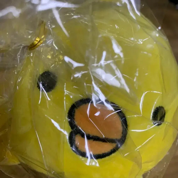 [BUNJANG] Artbox Galapagos Friends Chick Duck Keyring / 아트박스 갈라파고스 친구 인형 병아리 오리 키링