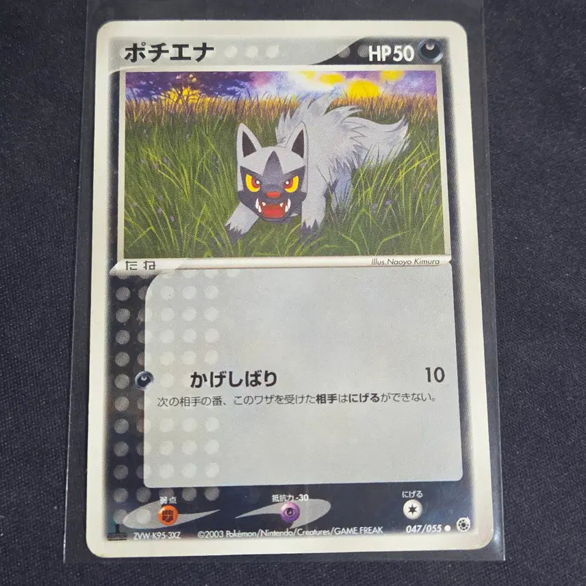 [BUNJANG] Pokemon Card Japanese Adv Poochyena / [포켓몬 카드]일판 adv 포챠나